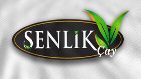 Logo Tasarımı