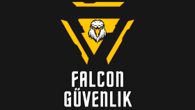 falcon güvenlik - konsept logo