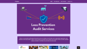 Profens - Teknolojik Denetim Hizmetleri Web Projesi