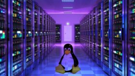 Linux sunucusunu kuracağım