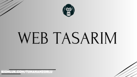 profesyonel web sitesi hazırlıyorum