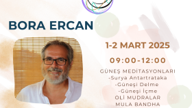 canva ile sosyal medya reklamlarınızı, menü ve sunum yaparım