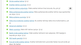 SEO Uyumlu İçerik Çalışması Örneği