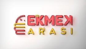 Profesyonel Logo Tasarımı 