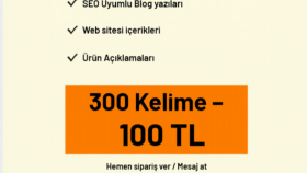 SEO uyumlu içerik ve metin yazarlığı yapıyorum