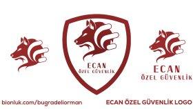size istekleriniz üzerine özgün ve kaliteli logo tasarlarım