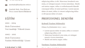 sade ve anlaşılır CV hazırlarım