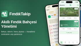 Fındık Fiyatları ve Fındık Tarım Uygulaması