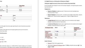 SPSS analiz ihtiyaçlarınız için profesyonel destek sunarım