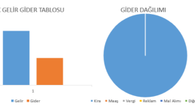 size özel gelir gider ve iş yönetim sistemi yaparım