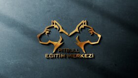markanız için yenilikçi ve modern logo tasarlayabilirim
