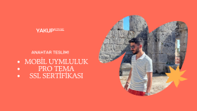 anahtar teslim Wordpress web sitesi hazırlamaktayım