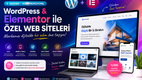 wordpress, elementor ile profesyonel web siteleri hazırlarım