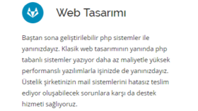 Web Tasarımı