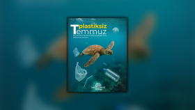 Kampanya Duyuru Postları – Modern Tasarım