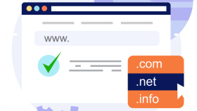Domain Hosting Control Panel System