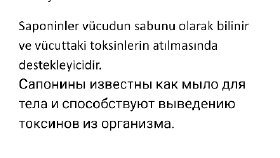 Ana Dil Seviyesinde Çeviri
