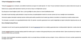 SEO Uyumlu İçerikler