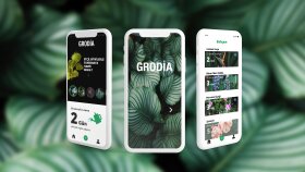 Mobil App 