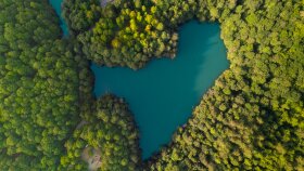 Ben yaratıcı tanıtım videoları hazırlarım