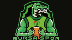 Maskot Logo, E-Spor Takımı Logosu 