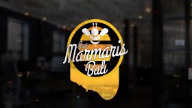 hayallerinizdeki logo çalışmalarını sizler için yapabilirim