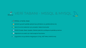 MSSQL ve MySQL Destekli Veri Tabanı Çözümleri