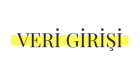 veri girişi yapabilirim