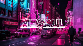 meşgul adlı parçam