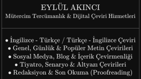 İngilizce/Türkçe çeviriler yaparım