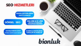  site içi profesyonel seo hizmeti veriyorum