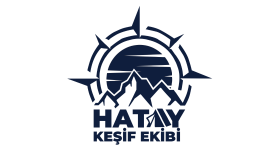 logo tasarımı