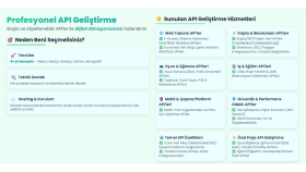 kapsamlı bir api yazarım
