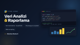 Python ile veri çekme ve otomasyon scripti yazarım