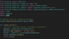 Python Selenium ile her şeyi yapabilirim