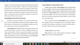iş örneği