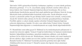 sanat tarihi, tarih, opera, alanlarında inceleme yazarım