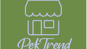 profesyonel logo yaparım