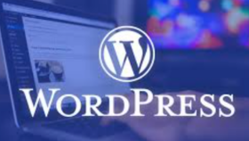 wordpress ile profesyonel web siteleri tasarlarım