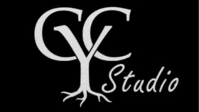 firmanız veya şahsınıza profesyonel bir logo yapabilirim