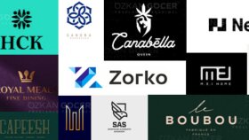 şirketiniz veya şahsınız için logo yapabilirim