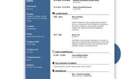 profesyonel şekilde cv hazırlarım