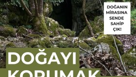 afiş tasarımı