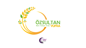 Logo Tasarımı