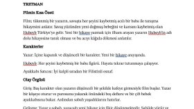 kısa film için çekim senaryosu ve film özeti yazarım