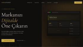 Web Sitesi satış ve tanıtım sitesi