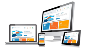 ekibim ile profesyonel websitesi tasarlıyorum