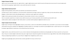 Rüzgar Enerjisi SEO Uyumlu Blog Metni