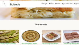 profesyonel e-ticaret ve web sitesi geliştiririm