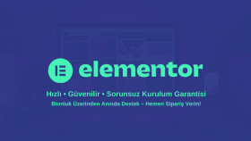 elementor pro lisans kurulumu hizmeti sunuyorum